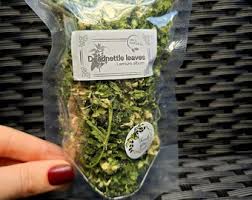 Attēlu rezultāti vaicājumam “Lamium album leaf”