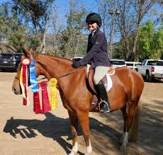 Image result for Woodhill Riding Club