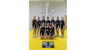Image result for Wealden Netball Club