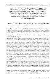 Attēlu rezultāti vaicājumam “Didymium tussilaginis sessile”