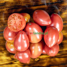 Afbeeldingsresultaat voor anna russian tomato