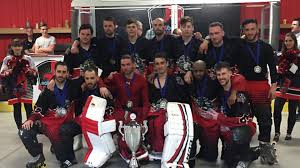 Image result for Borehamwood Crusaders