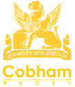 Image result for Cobham Rugby Club