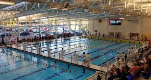 Image result for Derby Phoenix Swimming Club