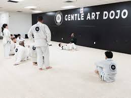 Image result for Derwent Jujitsu Academies