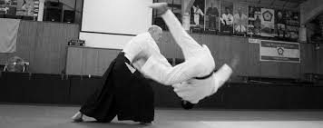 Image result for Aikido - Shobu UK (Newton in furness)
