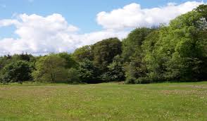 Image result for Bankton Mains Bowling Club