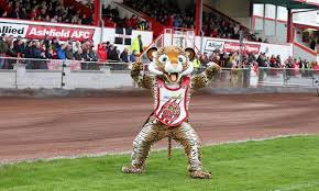 Image result for Glasgow Tigers