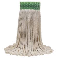 Image result for mop tehron