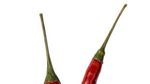 Afbeeldingsresultaat voor thai bird pepper hot pepper