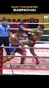 Image result for St Neots Muay Thai