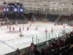 Image result for Cardiff Devils