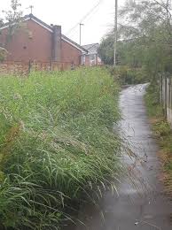 Image result for Woodmancote SMBC