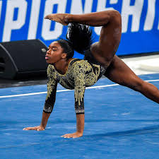 Image result for Focus Institute of Gymnastics