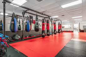 Image result for Muay Thai Clubs