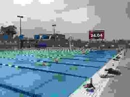 Image result for Derby Phoenix Swimming Club