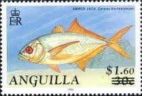 Image result for Caranx bartholomaei