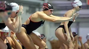 Image result for Salisbury Junior Badminton Club