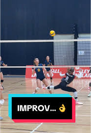 Image result for Malory Eagles volleyball club