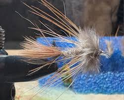 Image result for Segdoune Flyfishers` Angling Club