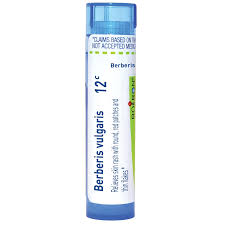 Attēlu rezultāti vaicājumam “Berberis vulgaris”