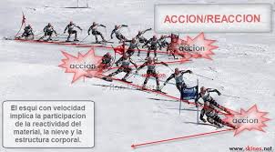 Resultado de imagen para imagenes de accion reaccion