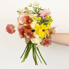 Attēlu rezultāti vaicājumam “Ranunculus mendax flower”