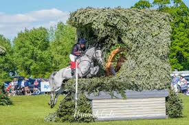 Image result for Towneley Rossendale Badminton Club