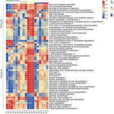 Attēlu rezultāti vaicājumam “Gymnostomum calcareum macro”