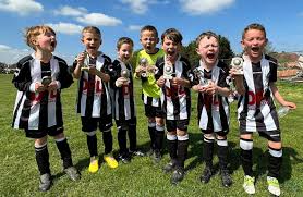 Image result for Redhill Juniors FC