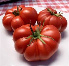 Afbeeldingsresultaat voor marmande jaune tomato