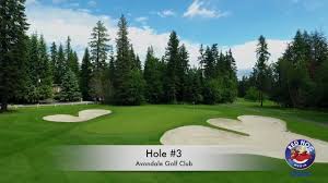 Image result for Avondale Gc