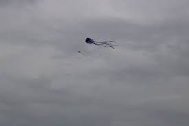 Image result for Atmosphere Kites