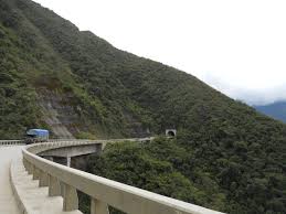 Výsledek obrázku pro yungas