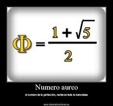 Image result for numero aureo