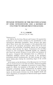 Attēlu rezultāti vaicājumam “Didymium xanthopus spores”