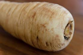 Image result for Zichorie