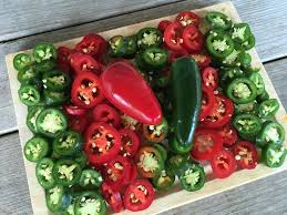 Afbeeldingsresultaat voor jalapeno early hot pepper