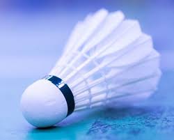 Image result for Birmingham Badminton Bears
