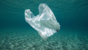 Image result for plastic