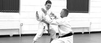 Image result for Harpenden JKA Karate Club