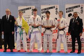 Image result for Kyoku Kenjutsu Kai