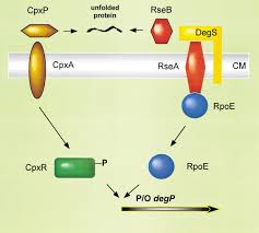 Image result for HTRPC