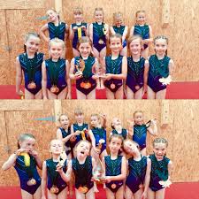 Image result for Swallows Of Helston Gym Club