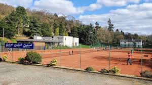 Image result for Bridge Of Allan Sports Club