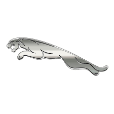 Image result for Pendelican White 1979 Jaguar