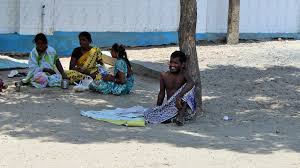 Image result for Erwadi