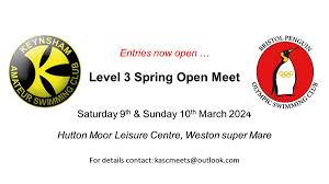 Image result for Keynsham Swimming Club