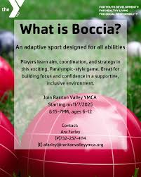 Image result for Reigate and Redhill Ymca Boccia Club