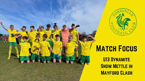 Image result for Mayford Athletic Football Club